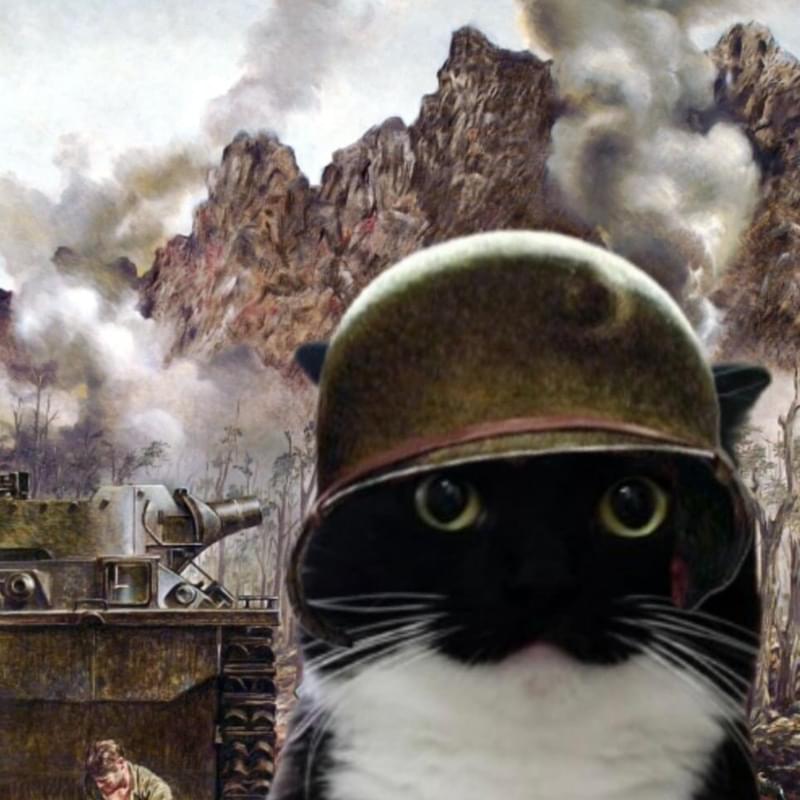 iFunny profile picture for @Gerbil