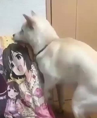 Assfucked By Dog