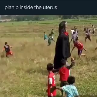 Plan B Inside The Uterus