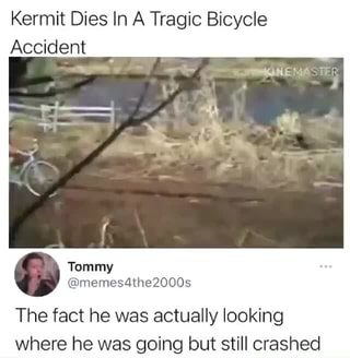 Kermit Dies In A Tragic Bicycle Accident The Fact He Was Actually Looking