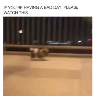Video Memes 2j5tdomi6 By Derek 0 8k Comments