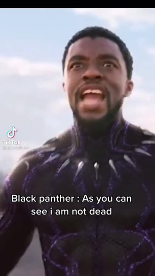 Black Panther As You Can See Am Not Dead