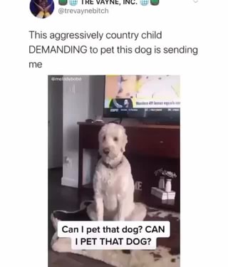 This aggressively country child
DEMANDING to pet this dog is sending