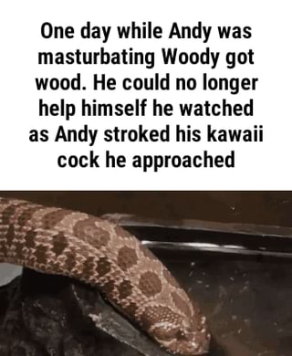 One Day While Andy Was Masturbating Woody Got Wood He Could No