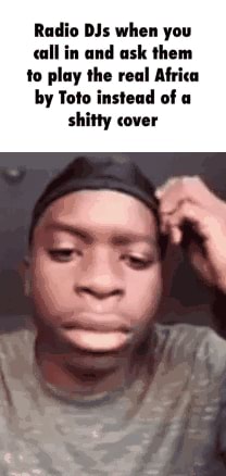 Toto Memes Best Collection Of Funny Toto Pictures On Ifunny