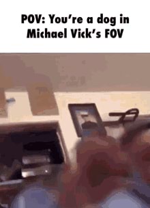 Fov Memes Best Collection Of Funny Fov Pictures On Ifunny