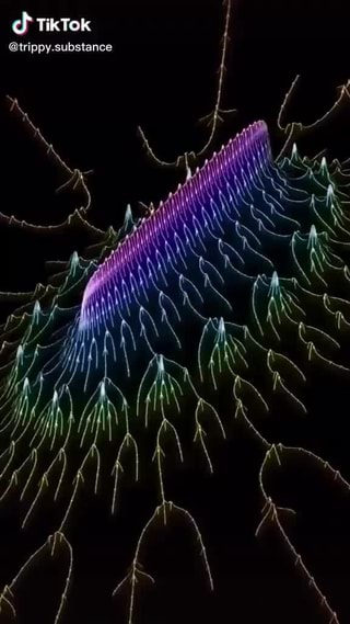 irony, women, hotwomen, trippy, cool, coolvideo, funny