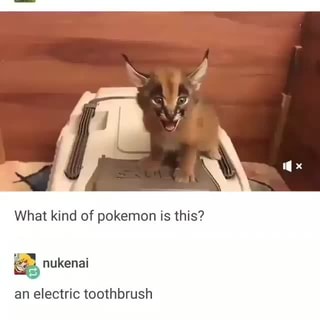 pokemon electric toothbrush