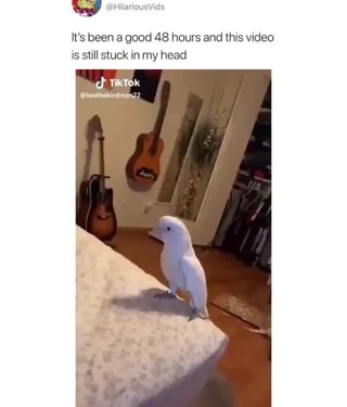 It’s been a good 48 hours and (Ms video
is still stuck in my head