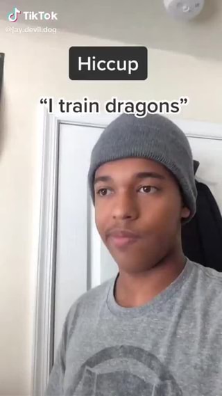 Hiccup
"I train dragons"