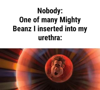 Nobody One Of Many Mighty Beanz I Inserted Into My Urethra