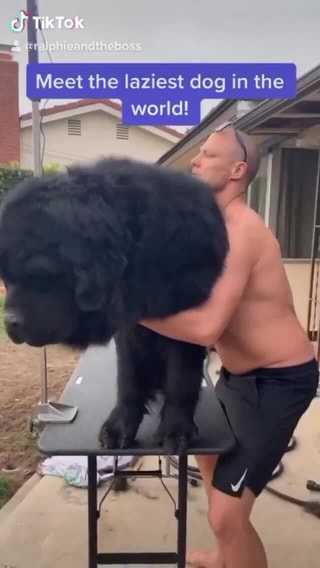 al
gM
Meet the laziest dog in the
world!