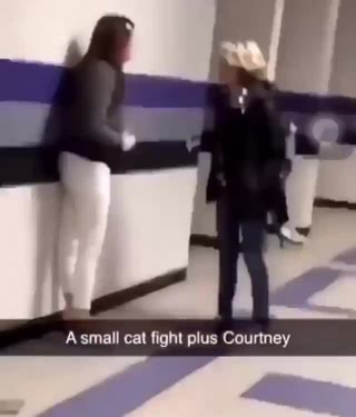 Video Memes Ilvjqlqw6 By Amanda 1 2k Comments Video Memes Ilvjqlqw6 By Amanda 1 2k Comments