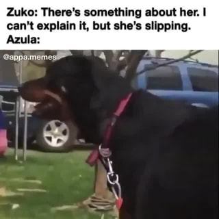 Zuko There S Something About Her Can T Explain It But She S Slipping Azula Ifunny