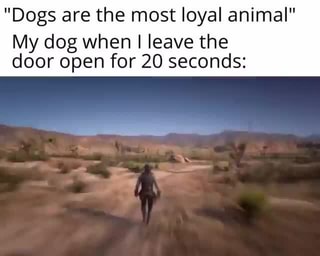 Dogs are the most loyal animal