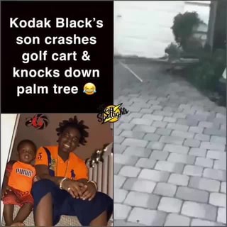 Kodak Black S Son Crashes Golf Cart Knocks Down Palm Tree