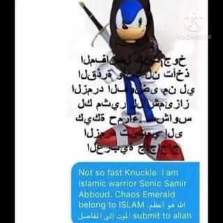 Not So Fast Knuckle I Am Islamic Warrior Sonic Samir Abboud Chaos Emerald Belong To Islam Abci 2 Il Ifunny