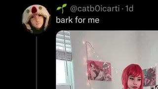 No - Af @catbOVicarti- id bark for me - iFunny