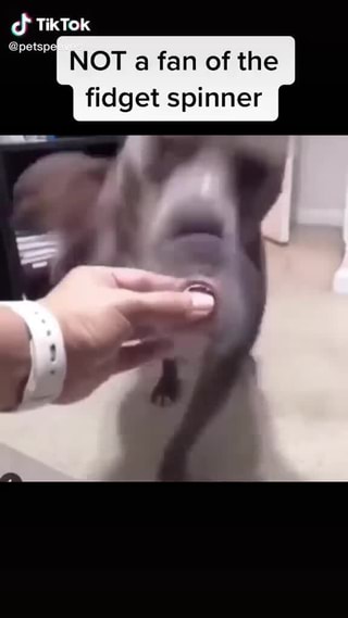 tick tock fidget spinner