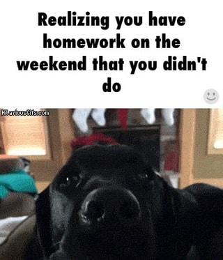 Homework quotes funny picture