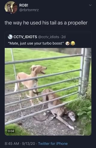 (i ROB!
@rbrtormrz
the way he used his tail as a propeller
@ CCTV IDIOTS @cctv idiots -
"Mate, just use your turbo boost" a
AM - - Twitter for iPhone