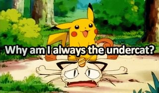 Undercat Memes Best Collection Of Funny Undercat Pictures On Ifunny ifunny