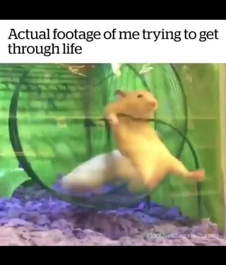 Actual Footage Of Me Trying To Get Through Life