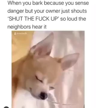 how do i get my dog to shut up