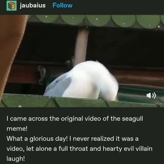 Ca Jaubaius Follow Came Across The Original Video Of The Seagull Meme What A Glorious Day I Never Realized It Was A Video Let Alone A Full Throat And Hearty Evil Villain