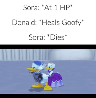 Sora dies