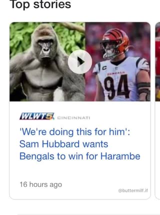 Sam Hubbard wants Bengals to win for Harambe