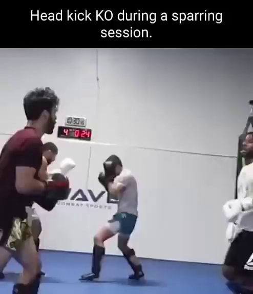 A Sparring Session Palcomix