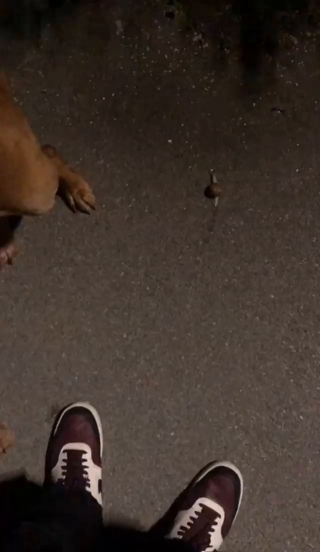 Efuq