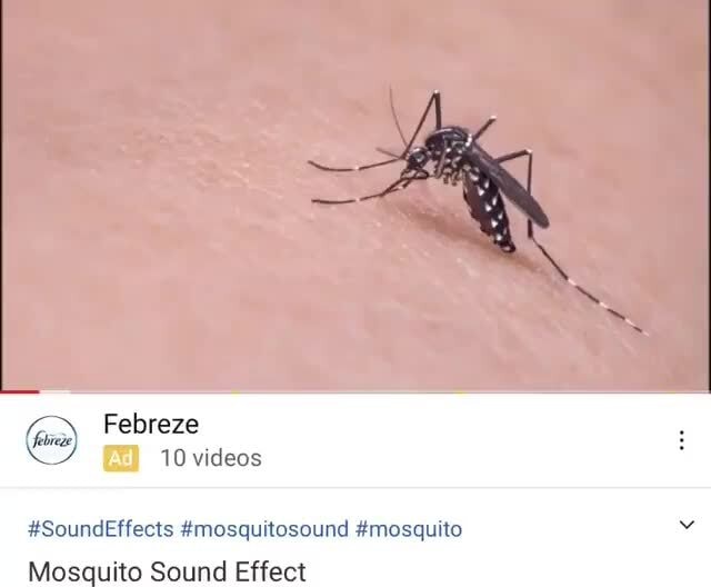 Febreze 10 videos SoundEffects mosquitosound mosquito iFunny
