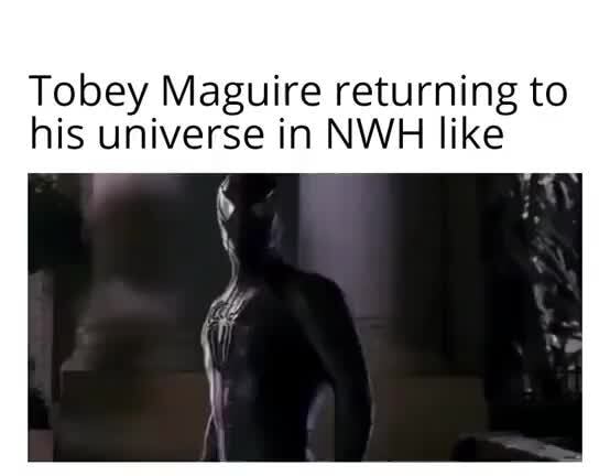 Tobey Maguire Returning To His Universe In Nwh Like Ifunny