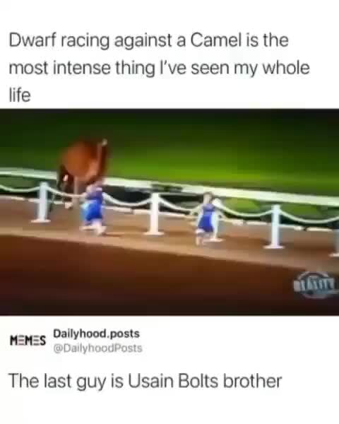 Dwarf Camel Racing Dwarf racing against a Camel is the most intense thing I've seen my ...