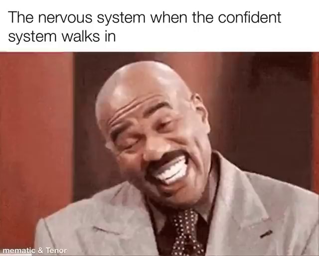 Nervous System When Confident System Walks In The nervous system when the confident system walks in pa - iFunny