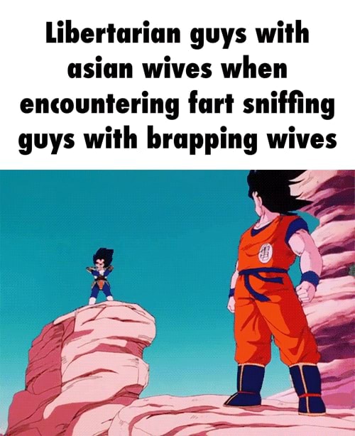 Libertarian Guys With Asian Wives When Encountering Fart Sniffing Guys With Brapping Wives Ifunny 7919