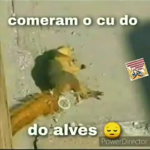 Comeram o cu do do alves - iFunny