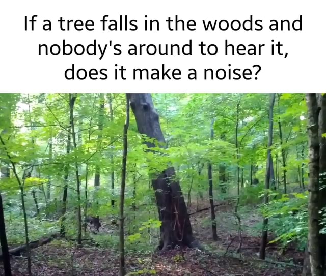 If a tree falls in the woods and nobody's around to hear it, does it
