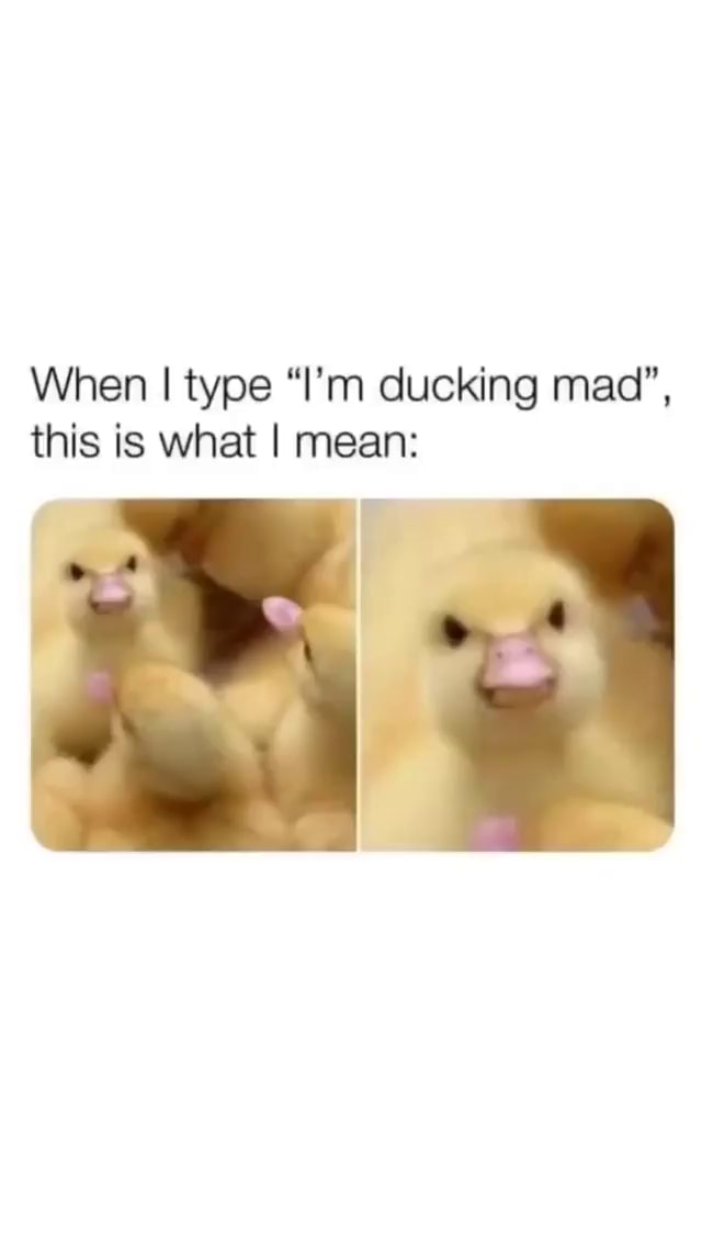When I type "I'm ducking mad", this is what I mean iFunny