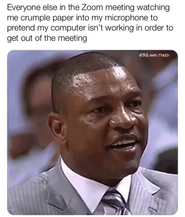 Some curated memes for your pleasure - Everyone else in the Zoom ...