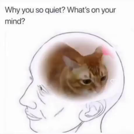 Why you so quiet? What's on your mind? - iFunny