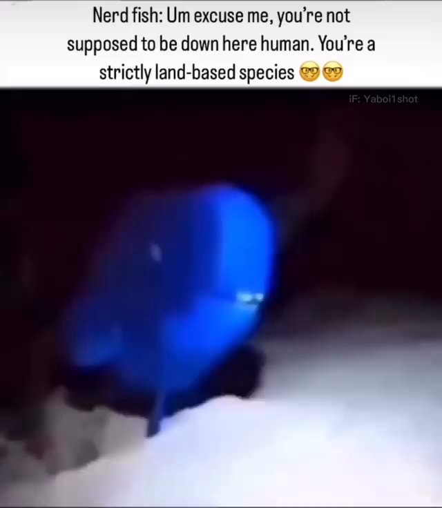 Nerd fish Um excuse me, you're not supposed to be down here human. You