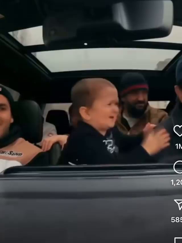 Video memes uE0889OIA by AL4N - iFunny