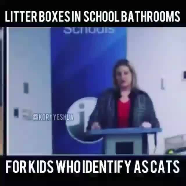 LITTER BOXES IN SCHOOL BATHROOMS FORKIDS WHOIDENTIFY AS CATS iFunny