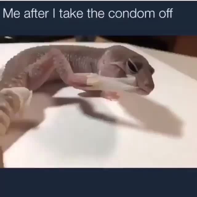 Taking condom off. Рептилии линяют смешно.