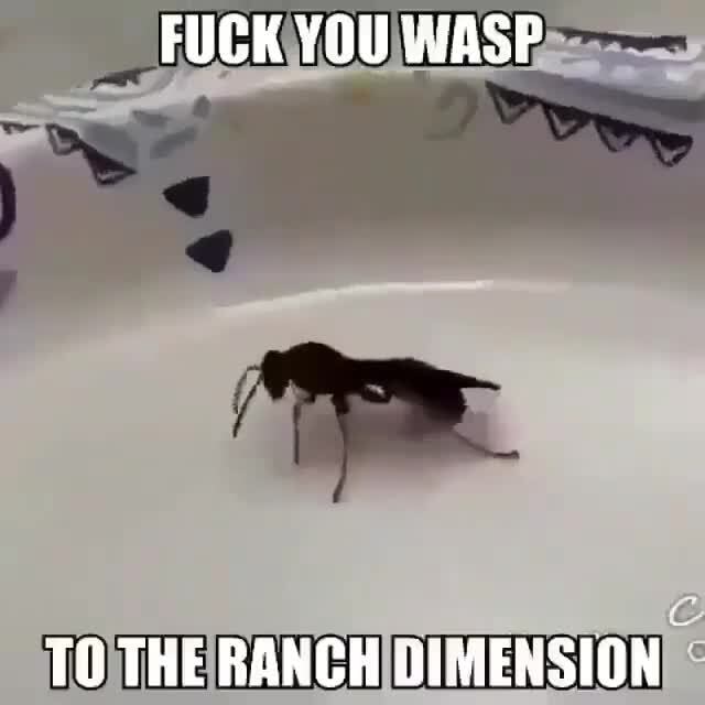 The Ranch Wasp FUCK YOU WASP TQ THE RANCH OIMENSION - iFunny