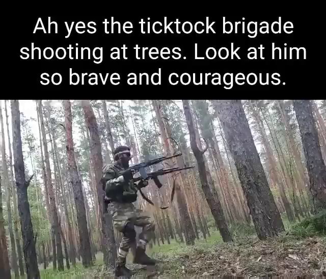 Ah yes the ticktock brigade shooting at trees. Look at him so brave and ...