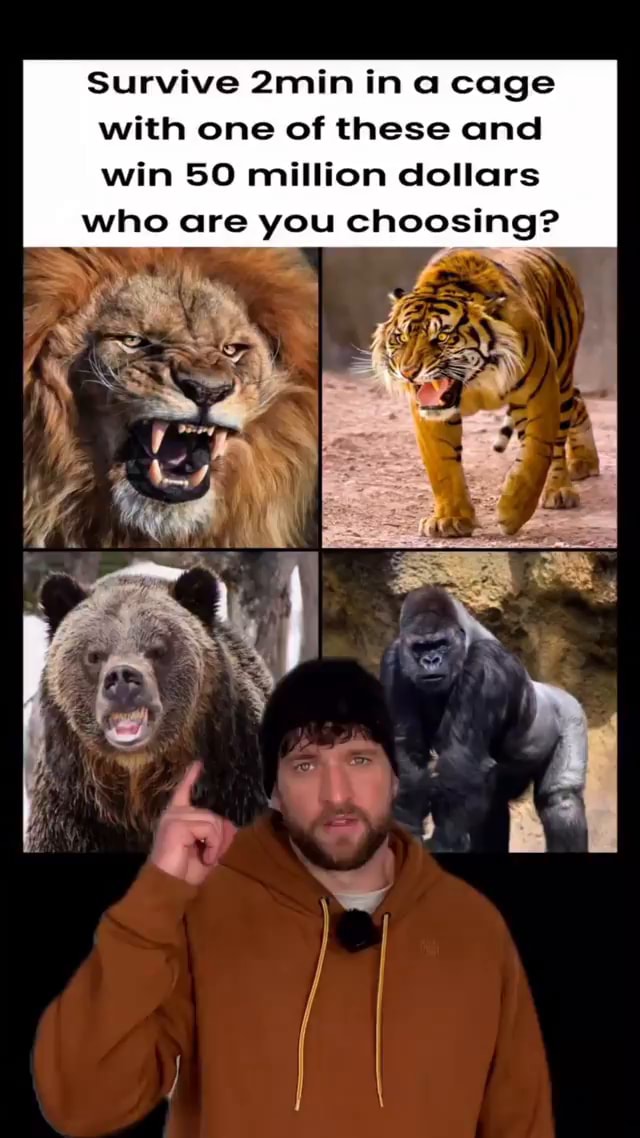 Survive 2min in a cage with one of these and win SO million dollars who ...